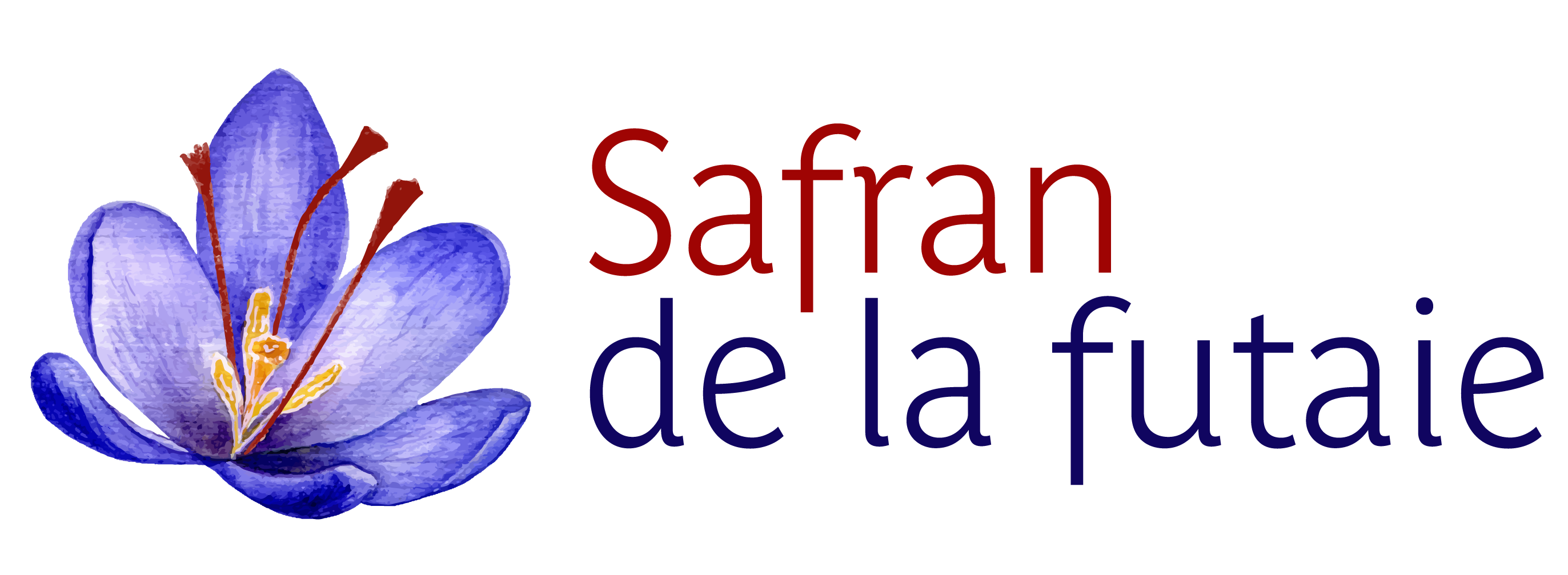 SAFRAN D'IRAN 100% Catégorie 1 Poudre 1g - CDUBON - epicerie en Vendée